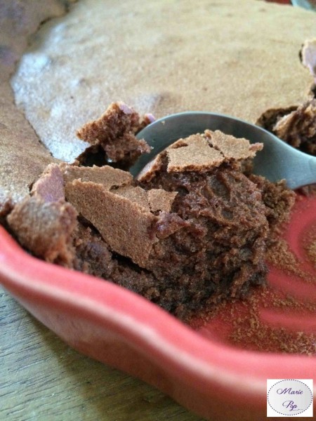 Gâteau indémoulable au chocolat de Trish - La recette