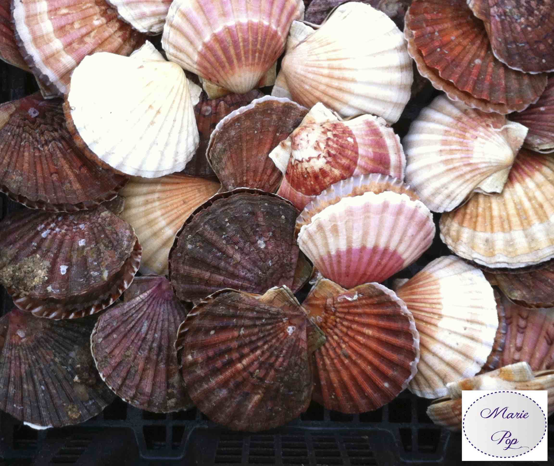 Recette de coquille Saint Jacques au